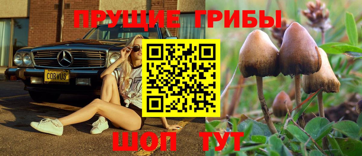 Галлюциногенные грибы прущие грибы  Вход с VPN  Сафоново 